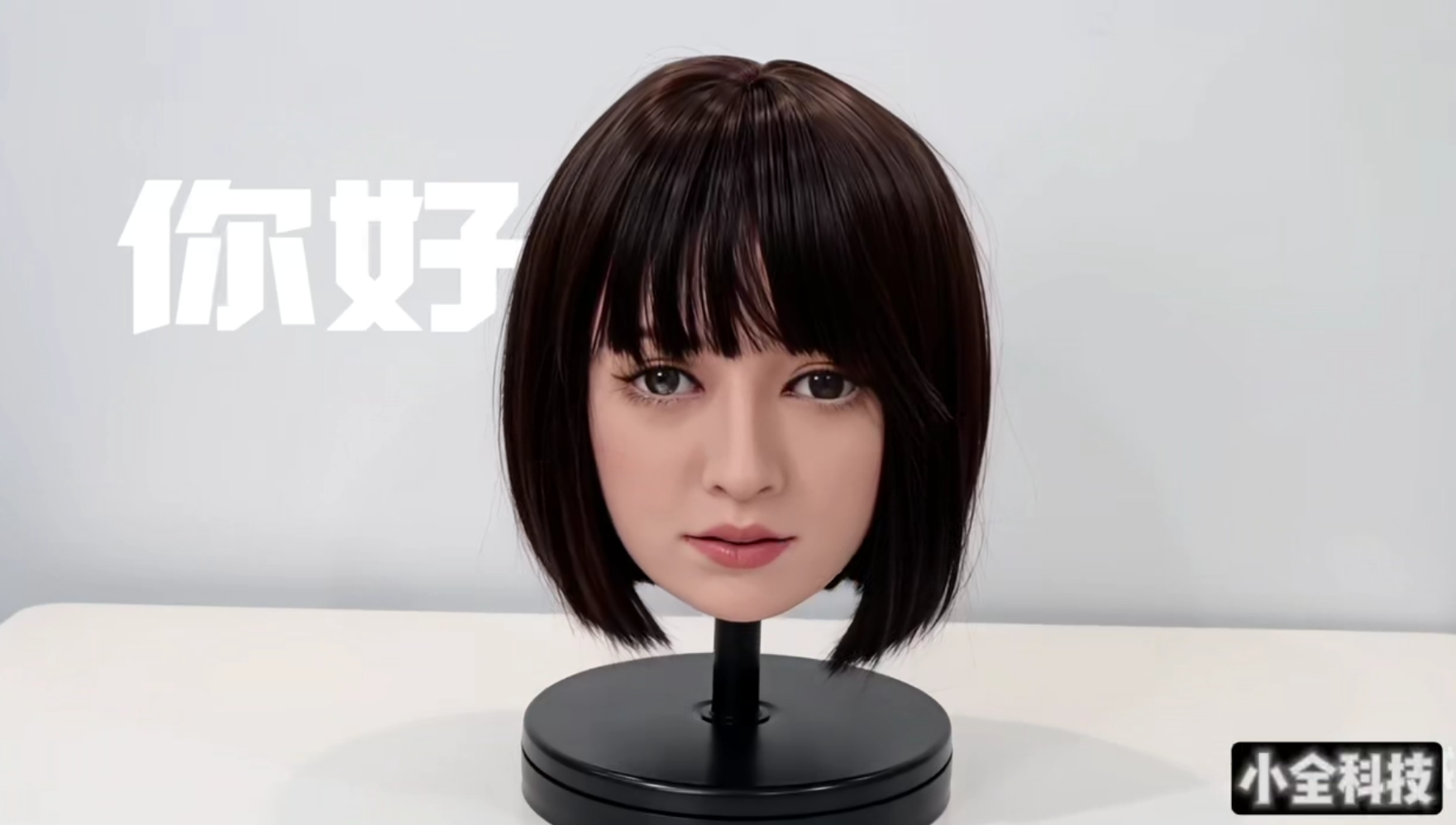 动态图